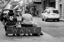 'Want' a Queen bench, Auckland city